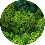 玫德集团 智造60⁺年 畅销140⁺国